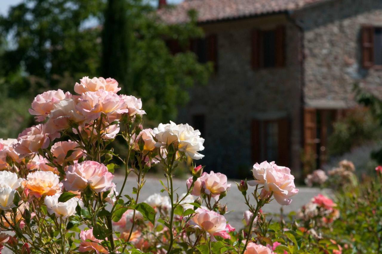 Agriturismo Le Valli Casciana Terme Exterior foto